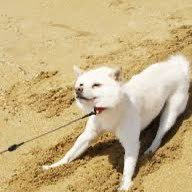 uraaka_1810's profile picture. 