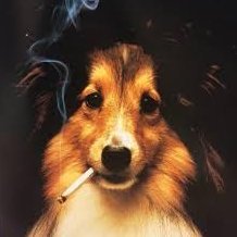 virusmentalll's profile picture. i vomit cum and diarrhea