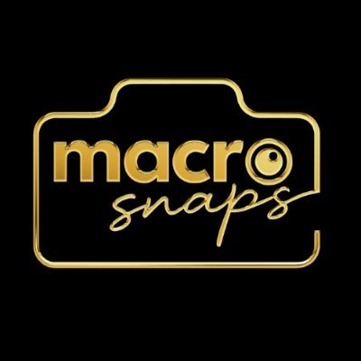 MacroSnaps's profile picture. Award Winning Wedding & Event Photography in NY, NJ, DC, VA & MD.
📞 877-622-4973
As seen on @theknot, @weddingwire & @huffpost

Part of @MacroHype