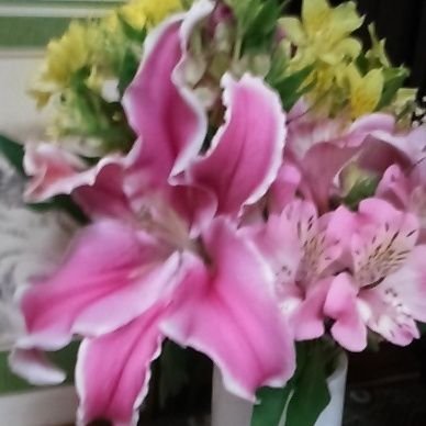 9wIIBlEcNN72268's profile picture. 子供２人孫４人のおばあちゃんです。お習字、脳トレ頑張ってます‼️お花好きです♥️