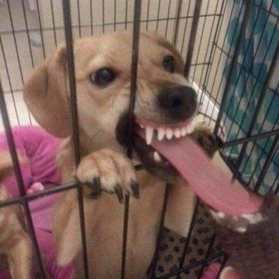 lex_popplexi638's profile picture. 