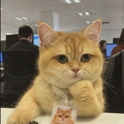 Ayush_hu_yaar's profile picture. Android App Developer |Specialist @Codeforces | Flutter | React | iQOO Neo 7 | Lenovo Ideapad 5 Pro | realme buds air 7 | 7Hz Salnotes zero