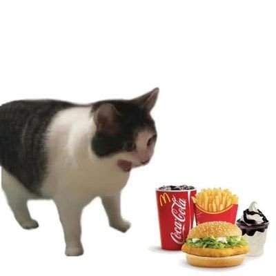 trade_with_guan's profile picture. 