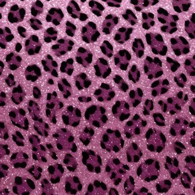 KidWebster1's profile picture. u know who dis is js call me webz 
🩷✌🏿🤮☄️🌠🛸👩🏿‍🚀