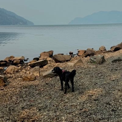 bulbasaur7791's profile picture. 🇨🇦🍁| 34 | she/her❤️‍🔥 | 🐶🐱 | 💍 | 🏳️‍🌈🏳️‍⚧️🇵🇸