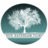 NDF_Tweets's profile image