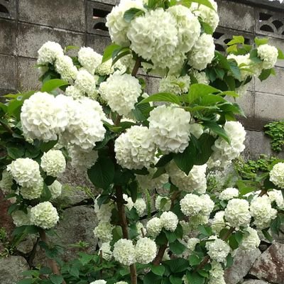 R9lyYPNDBp41172's profile picture. 