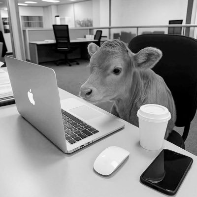 ponpon38811's profile picture. 