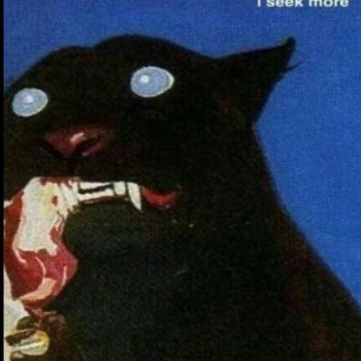 gabrielalafita's profile picture. 