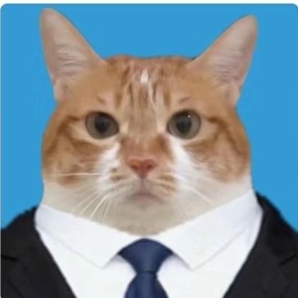vegetabledogdog's profile picture. 撸猫🐱