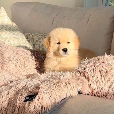 Miindyz's profile picture. ต้มไว้ 3 นาทีนะ เผื่อจะได้มีความสุขพอดี :)