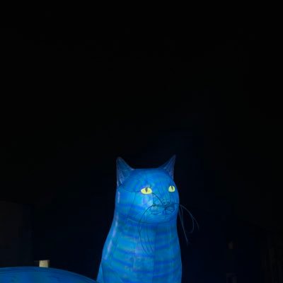Fs6L4's profile picture. 