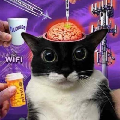 le_fembitch's profile picture. Fuck u hoes 

non bitchinary cus dont identify myself with u hoes