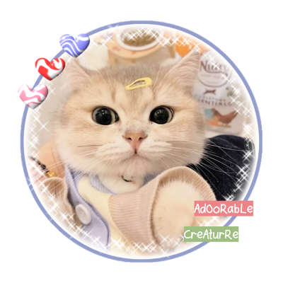 mCoklat's profile picture. #HypeAccount for @jieunf 🧸ྀི

𐔌՞. .՞𐦯 𝑪𝒉𝒂𝒏𝒕𝒊𝒌𝒂𝒏𝒂 𝑰𝒗𝒚𝒍𝒊𝒆 .𖥔 ݁ ˖༘⋆𐦍⊹₊ ⋆｡˚ 𝑫𝒊𝒔𝒏𝒆𝒚 𝑸𝒖𝒆𝒆𝒏 ﹒⪩⪨﹒ ~ (wanna)𝑏𝑒𝑒 🐝