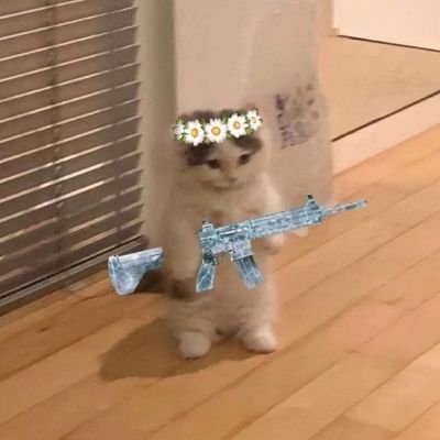 atharva_khadge's profile picture. Learning 🥷ㅤㅤㅤㅤㅤㅤㅤㅤㅤㅤㅤㅤㅤㅤㅤㅤㅤ20 !ㅤ