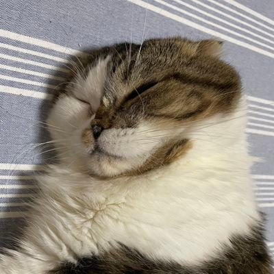 rey9638's profile picture. 