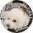 mofutabesty