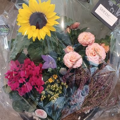 AngelBronn's profile picture. 