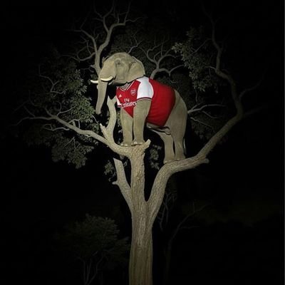 ★Badman but Mkareem†
@Arsenal #coyg