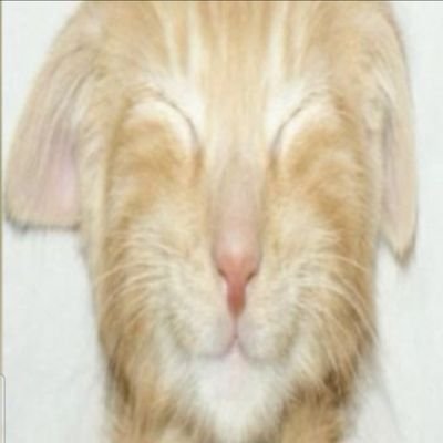 jospitstop's profile picture. 