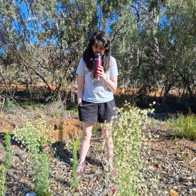 nommiedoesntdie's profile picture. here to yap n waffle (mainly abt music; SAW CLAIRO 16/2/2025 ❤️‼️) ☆ twentysomething 1.5 gen immigrant 🇮🇪🇦🇺 ☆ she/her ☆ lg(b) WITH tq 🤝 ☆ @MurdochUni ’25 ☆