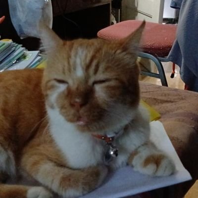 feyshalabz's profile picture. Sebagian curahan isi hati dan pikiran. Semoga bisa beri manfaat.
Mohon nasihati jika salah dan doakan kebaikan.