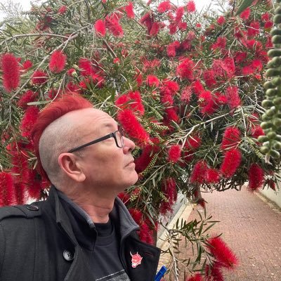 MarcusPlato's profile picture. If you see Vicki say hi. 🥹