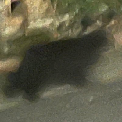 pe___zo__pe's profile picture. 20⬆️ あまり近寄らない方がいい 原田と藤堂をエロモクで見てるアカウント 主人公攻め固定