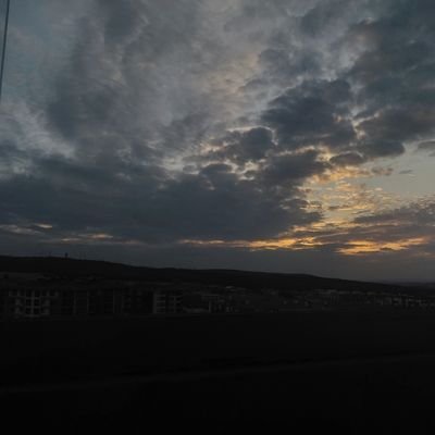 SuedaDemir49941's profile picture. 