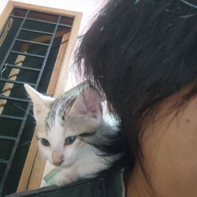 @achmadii93