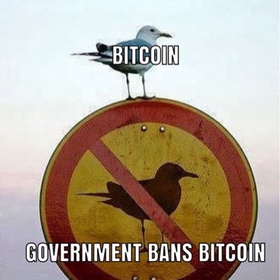 And21B's profile picture. 