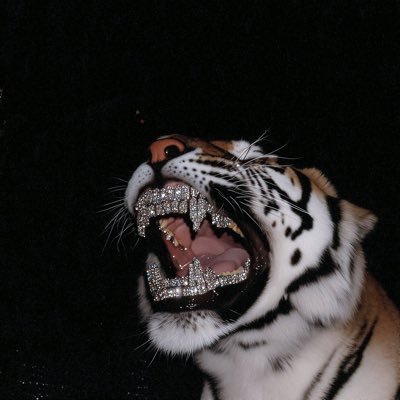itsbigdaddyQ's profile picture. 