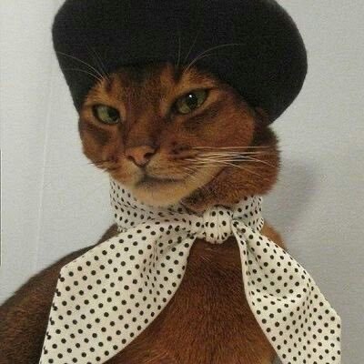 chuumoon06's profile picture. 🤩