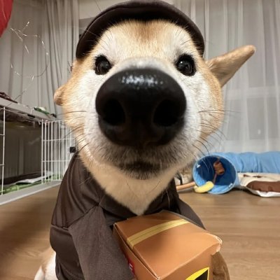 7H0sSjf9iAkZuCl's profile picture. 