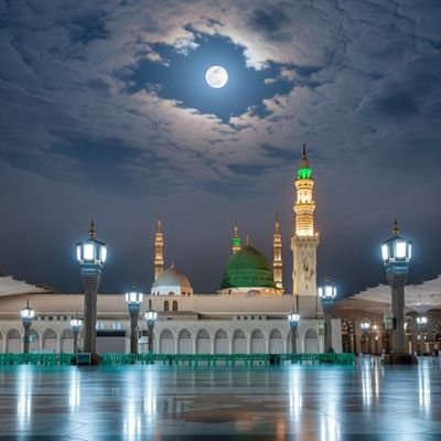 Mzubair_lodhi79's profile picture. 