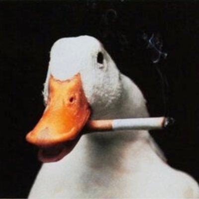 mythical_mma's profile picture. video editor, 19, mma fan