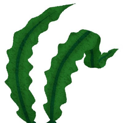 su_konbe's profile picture. 兵庫県在住。受験関係メインのはず。高1長男（中高一貫校・2028大受）と中2次男（公立中・2027高受・LD書字障害）/母は都立高→理系院卒IT系パート/無言フォロー失礼します