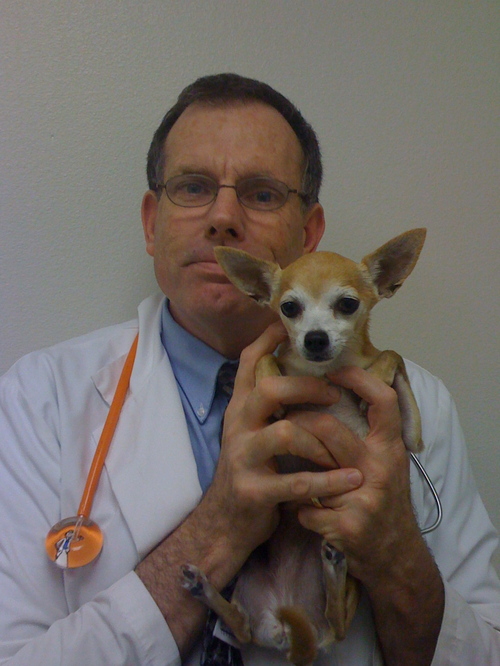 Ft. Worth Veterinarian - Hello Cats and Dogs!!