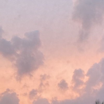 DarahasN2238's profile picture. 