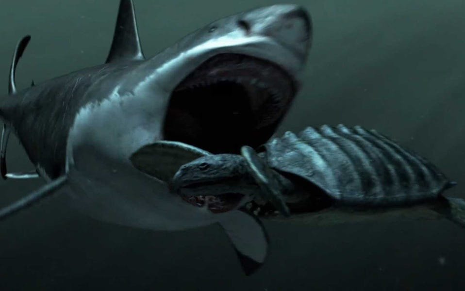 DarkMegalodon's profile picture. 