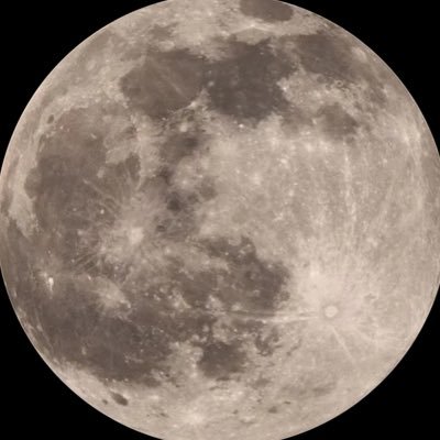 yiqubuhuilai's profile picture. я дура к