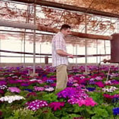 ahmad_dehghann's profile picture. فرزند خاک، میراث‌دار زمین / عاشق رویش و شکفتن / دانشجو / زاده‌ی روستا، در دل سبزی‌ها