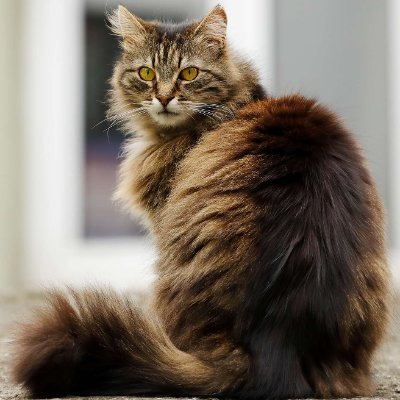 maria81mendes's profile picture. 