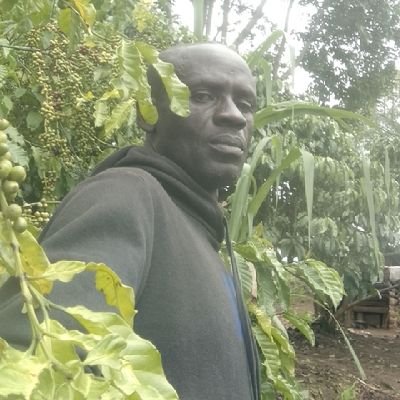 Kimarakwij58006's profile picture. 