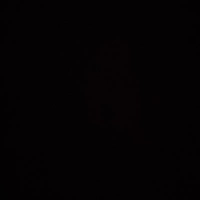 skyさんのプロフィール画像