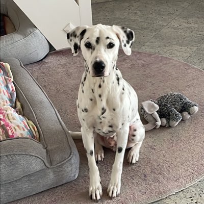 U54002201's profile picture. 