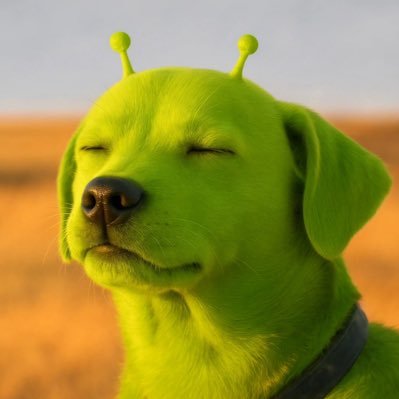 moneybeany's profile picture. .