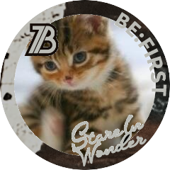 sarataka0321's profile picture. ねこ　だぁ～いすき♪
BE:FIRSTのSOTA寄りの箱推しです！
無言フォロー大歓迎です！