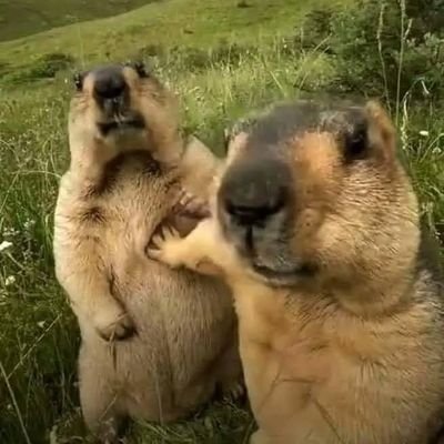 joel2feb's profile picture. la vida es un fastidio, lo veas por dónde lo veas🙄