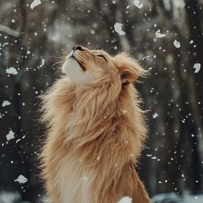 HiFrank77's profile picture. Cyrus the Great and rumi are two of us 
#پادشاهی_مشروطه 
ما میلیونها ایرانی ، خواهان پادشاهی 
#سید_محمد_حسینی هستیم 
#من_ایرانی_نیستم_من_پارسی_هستم
